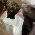 ح   ط - ب   يابس ارطى