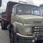 عايدي شد بلد