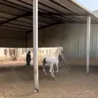 وناسه