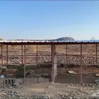 شبك 6في 4 ارتفاع 150سم