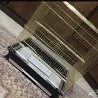 قفص للبيع