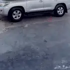 جنوط وارد اليحيى او فراشه اصليه وكاله