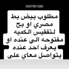 مطلوب بيض بط او بح مخصب