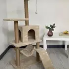 خداشه قطط كبيره شبه جديده