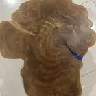 طاولة خشب خام كونوكاربس