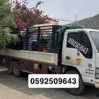 دينا دينة الدائر العارضة العيدابي فيفاء