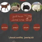 للبيع غنم ذبح