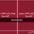 راعي اغنام سوري