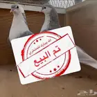 ( تم البيع )طبات حمام شيرازي
