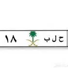 لوحه حلب 18