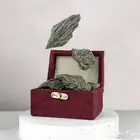 عود كلمنتان
