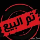 صوص دجاج بلدي