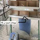 رفوف خشبيه شبك