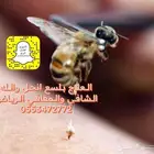 لسع قرص بنحل