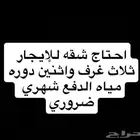 شقة