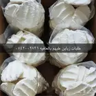 سمن غنم