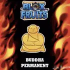 فاكهة بوذا بيرم الأسطورية في بلوكس فروت