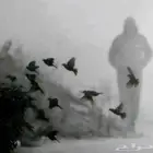 احتاج استراحه او شاليه بحدود 300