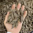 عود
