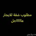 مطلوب شقة للايجار مستعجل