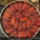 تمر صفري بيشه