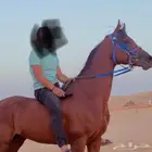 حصان البيع