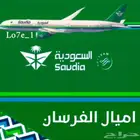 حجوزات الخطوط السعودية شرورة