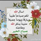 اسطبل خيل لايجار حوش بامخطط الصفا