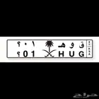 لوحة مميزة معنى ورقم نادرة