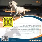 ايواء خيل وتدريب الحمدانية