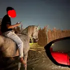 حصان واهو