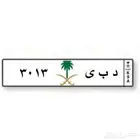 لوحة د ب ي 3013