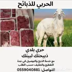 طليان ذبائح تيوس ذبائح