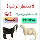 اضاحي