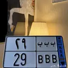 لوحة للبيع نقل مكرر