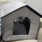 مستلزمات للقطط