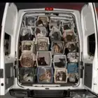 شحن ( نقل ) جميع أنواع الحيونات