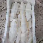 خداك عظم حبار المجفف