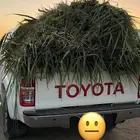 اعلاف وشتلات بونيكام اسباني سوبرموباسا