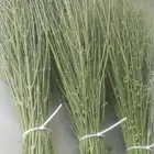 مرخ طازج للحنيذ والمندي