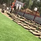انجيله زراعيه توصيل لجميع مناطق المملكه