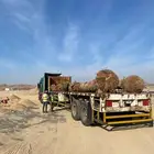 تريله نقل بلك أشجار مواد بناء