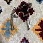 شكيمه خيل كفو