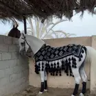 حصان شعبي