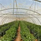 مطلوب بيوت محمية للايجار