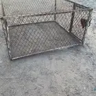 شبك حيوانات