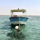 للبيع قارب الظاعن 2 استروك 100 ياماها 29 قدم