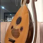 عود زرياب للبيع