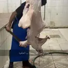 يوجد ذبايح على طلب مع توصيل