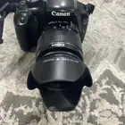 البشائر سبت العلايا